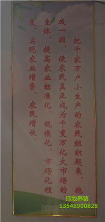 臨湘市欣牧養豬專(zhuān)業(yè)合作社,臨湘母豬,臨湘仔豬,臨湘成品豬,臨湘欣牧